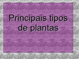 Principais tipos de plantas 