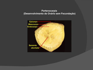 Partenocarpia
(Desenvolvimento do Ovário sem Fecundação)
 