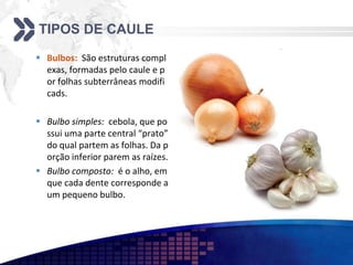 TIPOS DE CAULE
 Bulbos: São estruturas compl
exas, formadas pelo caule e p
or folhas subterrâneas modifi
cads.
 Bulbo simples: cebola, que po
ssui uma parte central “prato”
do qual partem as folhas. Da p
orção inferior parem as raízes.
 Bulbo composto: é o alho, em
que cada dente corresponde a
um pequeno bulbo.
 