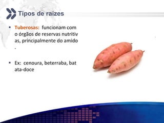Tipos de raízes
 Tuberosas: funcionam com
o órgãos de reservas nutritiv
as, principalmente do amido
.
 Ex: cenoura, beterraba, bat
ata-doce
 