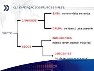 CLASSIFICAÇÃO DOS FRUTOS SIMPLES:
FRUTOS
CARNOSOS
BAGA - contém várias sementes
DRUPA - contém só uma semente
SECOS
INDEISCENTES
(não se abrem quando maduros)
DEISCENTES
(se abrem quando maduros)
 
