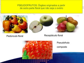 PSEUDOFRUTOS: Órgãos originados a partir
de outra parte floral que não seja o ovário
Pedúnculo floral Receptáculo floral
Pseudofruto
composto
 