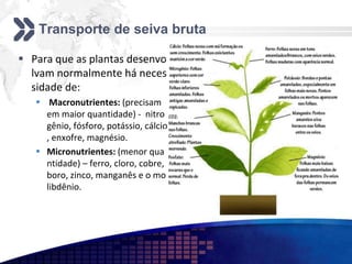Transporte de seiva bruta
 Para que as plantas desenvo
lvam normalmente há neces
sidade de:
 Macronutrientes: (precisam
em maior quantidade) - nitro
gênio, fósforo, potássio, cálcio
, enxofre, magnésio.
 Micronutrientes: (menor qua
ntidade) – ferro, cloro, cobre,
boro, zinco, manganês e o mo
libdênio.
 