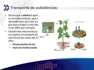 Transporte de substâncias:
 Ocorre que o xilema é apen
as um tubo condutor, que n
ada pode fazer para que a á
gua possa chegar à uma altu
ra de 100m por exemplo.
 Existem dois mecanismos p
ara explicar o transporte da
seiva bruta das raízes até a f
olha:
 Pressão positiva da raiz
 Teoria da Tensão-Coesão
 