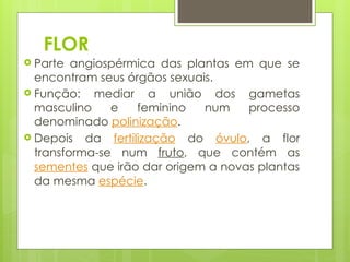 MORFOLOGIA VEGETAL -FLOR, SEMENTE , FRUTO.pptx
