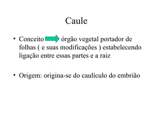 Caule
• Conceito        órgão vegetal portador de
  folhas ( e suas modificações ) estabelecendo
  ligação entre essas partes e a raiz

• Origem: origina-se do caulículo do embrião
 