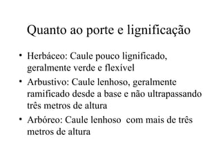 Quanto ao porte e lignificação
• Herbáceo: Caule pouco lignificado,
  geralmente verde e flexível
• Arbustivo: Caule lenhoso, geralmente
  ramificado desde a base e não ultrapassando
  três metros de altura
• Arbóreo: Caule lenhoso com mais de três
  metros de altura
 