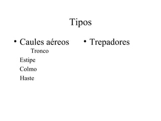 Tipos
• Caules aéreos      • Trepadores
     Tronco
 Estipe
 Colmo
 Haste
 