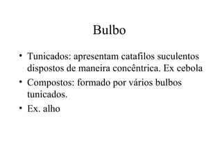 Bulbo
• Tunicados: apresentam catafilos suculentos
  dispostos de maneira concêntrica. Ex cebola
• Compostos: formado por vários bulbos
  tunicados.
• Ex. alho
 