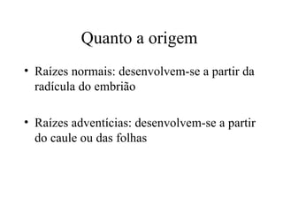 Quanto a origem
• Raízes normais: desenvolvem-se a partir da
  radícula do embrião

• Raízes adventícias: desenvolvem-se a partir
  do caule ou das folhas
 