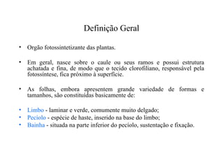 Definição Geral

• Orgão fotossintetizante das plantas.

• Em geral, nasce sobre o caule ou seus ramos e possui estrutura
  achatada e fina, de modo que o tecido clorofiliano, responsável pela
  fotossíntese, fica próximo à superfície.

• As folhas, embora apresentem grande variedade de formas e
  tamanhos, são constituídas basicamente de:

• Limbo - laminar e verde, comumente muito delgado;
• Pecíolo - espécie de haste, inserido na base do limbo;
• Bainha - situada na parte inferior do pecíolo, sustentação e fixação.
 