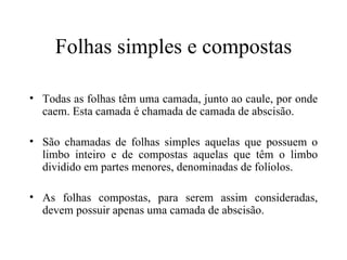 Folhas simples e compostas

• Todas as folhas têm uma camada, junto ao caule, por onde
  caem. Esta camada é chamada de camada de abscisão.

• São chamadas de folhas simples aquelas que possuem o
  limbo inteiro e de compostas aquelas que têm o limbo
  dividido em partes menores, denominadas de folíolos.

• As folhas compostas, para serem assim consideradas,
  devem possuir apenas uma camada de abscisão.
 