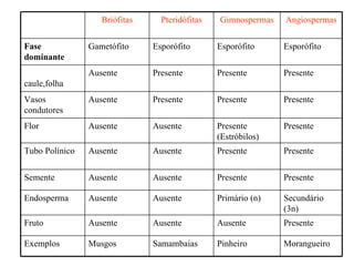 Briófitas     Pteridófitas   Gimnospermas   Angiospermas


Fase            Gametófito     Esporófito       Esporófito     Esporófito
dominante
Raiz,           Ausente        Presente         Presente       Presente
caule,folha
Vasos           Ausente        Presente         Presente       Presente
condutores
Flor            Ausente        Ausente          Presente       Presente
                                                (Estróbilos)
Tubo Polínico   Ausente        Ausente          Presente       Presente


Semente         Ausente        Ausente          Presente       Presente

Endosperma      Ausente        Ausente          Primário (n)   Secundário
                                                               (3n)
Fruto           Ausente        Ausente          Ausente        Presente

Exemplos        Musgos         Samambaias       Pinheiro       Morangueiro
 