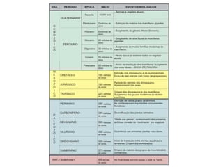 Morfologia vegetal 2o.m