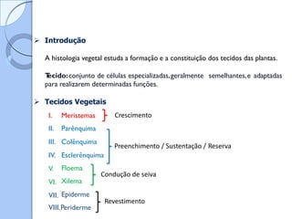  Introdução
A histologia vegetal estuda a formação e a constituição dos tecidos das plantas.
T
ecido:conjunto de células especializadas,geralmente
para realizarem determinadas funções.
semelhantes,e adaptadas
 Tecidos Vegetais
I.
II.
III.
IV.
V.
VI.
VII.
Meristemas
Parênquima
Colênquima
Esclerênquima
Crescimento
Preenchimento / Sustentação / Reserva
Floema
Xilema
Epiderme
Condução de seiva
Revestimento
VIII.Periderme
 