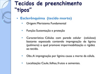Tecidos
“tipos”
de preenchimento
 Esclerênquima (tecido morto)
 Origem:Meristema Fundamental
 Função:Sustentação e proteção
 Característica: Células com parede celular (celulose)
de lignina
bastante espessada contendo impregnação
(polímero) o qual promove impermeabilização e rigidez
ao tecido.
 Obs.:A impregnação por lignina causa a morte da célula.
 Localização:Caule,folhas,frutos e sementes.
 
