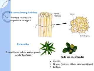 Fibras esclerenquimáticas
Promove sustentação
esquelética ao vegetal
Esclereídes
Possuei lúmen celular vazio e parede
celular lignificada
Pode ser encontradas
 Isoladas
 Grupos (entre as células parenquimáticas)
 Ex:Pêra.
 