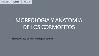 MORFOLOGIA Y ANATOMIA
DE LOS CORMOFITOS
BOTANICA II/2022 TEMA 4
Docente: MSc. Ing. Agr. Maria Teresa Aguilar Quisbert
 