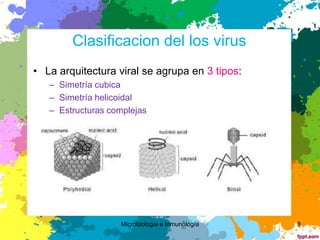 Morfologia y clasificacion viral