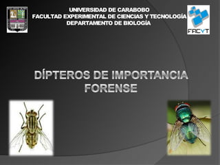 UNIVERSIDAD DE CARABOBO
FACULTAD EXPERIMENTAL DE CIENCIAS Y TECNOLOGÍA
DEPARTAMENTO DE BIOLOGÍA
 