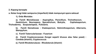 2. Kapang bersepta
a. Kelas fungi tidak sempurna (imperfecti) tidak mempunyai spora seksual
1). Ordo Moniales
a). Famili Monialiaceae : Aspergillus, Penicillium, Trichothecium,
Geotrichum, Neurospora, Sporatrichum, Botrytis, Cephalosporium,
Trichoderma, Scopulariopsis, Pullularia.
b). Famili Dematiceae : Cladosporium, Helminthosporium, Alternaria,
Stempylium.
c). Famili Tuberculariaceae : Fusarium
d). Famili Cryptococcaceae (fungsi seperti khusus atau false yeast) :
Candida (khamir), Cryptococcus
e). Famili Rhodotorulacee : Rhodotorula (khamir)
 