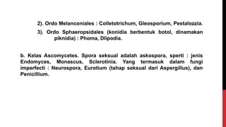 2). Ordo Melanconiales : Colletotrichum, Gleosporium, Pestalozzia.
3). Ordo Sphaeropsidales (konidia berbentuk botol, dinamakan
piknidia) : Phoma, Dlipodia.
b. Kelas Ascomycetes. Spora seksual adalah askospora, sperti : jenis
Endomyces, Monascus, Sclerotinia. Yang termasuk dalam fungi
imperfecti : Neurospora, Eurotium (tahap seksual dari Aspergillus), dan
Penicillium.
 