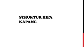 STRUKTUR HIFA
KAPANG
 