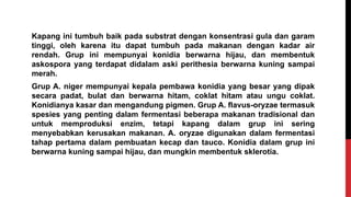 Kapang ini tumbuh baik pada substrat dengan konsentrasi gula dan garam
tinggi, oleh karena itu dapat tumbuh pada makanan dengan kadar air
rendah. Grup ini mempunyai konidia berwarna hijau, dan membentuk
askospora yang terdapat didalam aski perithesia berwarna kuning sampai
merah.
Grup A. niger mempunyai kepala pembawa konidia yang besar yang dipak
secara padat, bulat dan berwarna hitam, coklat hitam atau ungu coklat.
Konidianya kasar dan mengandung pigmen. Grup A. flavus-oryzae termasuk
spesies yang penting dalam fermentasi beberapa makanan tradisional dan
untuk memproduksi enzim, tetapi kapang dalam grup ini sering
menyebabkan kerusakan makanan. A. oryzae digunakan dalam fermentasi
tahap pertama dalam pembuatan kecap dan tauco. Konidia dalam grup ini
berwarna kuning sampai hijau, dan mungkin membentuk sklerotia.
 