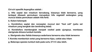 Ciri-ciri spesifik Aspergillus adalah :
a. Hifa septat dan miselium bercabang, biasanya tidak berwarna, yang
terdapat dibawah permukaan merupakan hifa vegetatif sedangkan yang
muncul diatas permukaan adalah hifa fertil.
b. Koloni kelompok
c. Konidiofora septat dan nonseptat, muncul dari “foot cell” (yaitu sel
miselium yang bengkak dan berdinding tebal)
d. Konidiofora membengkak menjadi vesikel pada ujungnya, membawa
sterigmata dimana tumbuh konidia
e. Sterigmata atau fialida biasanya sederhana berwarna atau tidak berwarna
f. Konidia membentuk rantai yang berwarna hijau, coklat atau hitam
g. Beberapa spesies tumbuh baik pada suhu 37 0 C atau lebih.
 