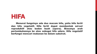HIFA
Menurut fungsinya ada dua macam hifa, yaitu hifa fertil
dan hifa vegetatif. Hifa fertil dapat membentuk sel-sel
reproduktif atau badan buah (spora). Biasanya arah
pertumbuhannya ke atas sebagai hifa udara. Hifa vegetatif
berfungsi mencari makanan ke dalam substrat.
 