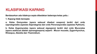 KLASIFIKASI KAPANG
Berdasarkan ada tidaknya septa dibedakan beberapa kelas yaitu :
1. Kapang tidak bersepta
a. Kelas Oomycetes (spora seksual disebut oospora) terdiri dari ordo
saprolegniales (spesies Saprolegnia) dan ordo Peronosporales (spesies Pythium).
b. Kelas Zygomycetes (spora seksual zigospora) terdiri dari ordo Mucorales
(spora aseksual adalah sporangiospora) seperti : Mucor mucedo, Zygorrhynchus,
Rhizopus, Absidia dan Thamnidium.
 