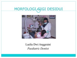 MORFOLOGI GIGI DESIDUI
Laelia Dwi Anggraini
Paediatric Dentist
 