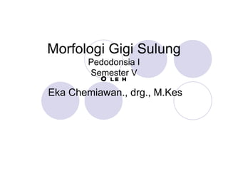 Morfologi Gigi Sulung Pedodonsia I Semester V Oleh Eka Chemiawan., drg., M.Kes 