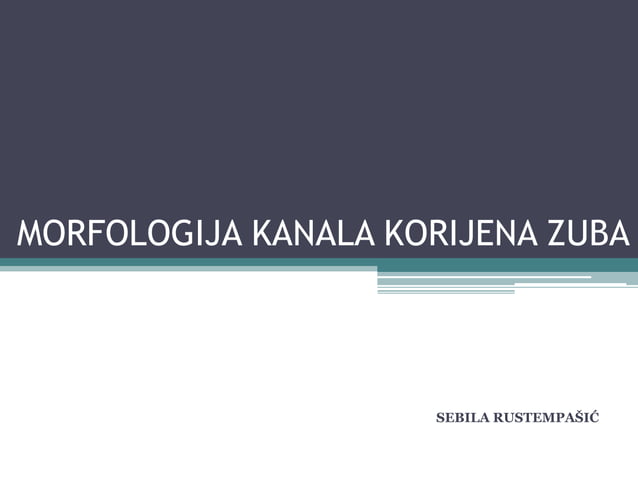 Morfologija Kanala Korijena Zuba PPT morfologija-kanala-korijena-zuba-ppt