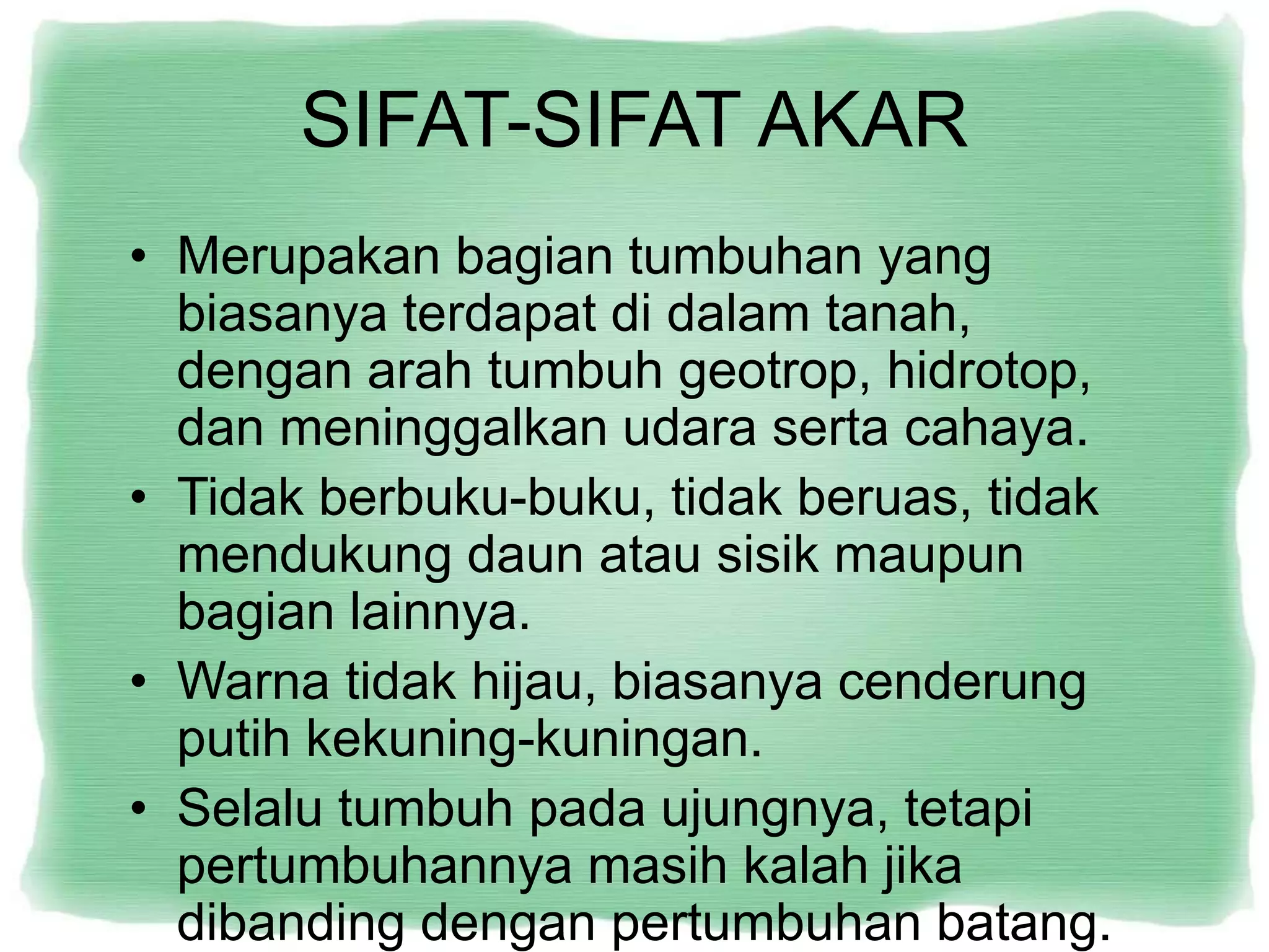 SIFAT-SIFAT AKAR
• Merupakan bagian tumbuhan yang
biasanya terdapat di dalam tanah,
dengan arah tumbuh geotrop, hidrotop,
dan meninggalkan udara serta cahaya.
• Tidak berbuku-buku, tidak beruas, tidak
mendukung daun atau sisik maupun
bagian lainnya.
• Warna tidak hijau, biasanya cenderung
putih kekuning-kuningan.
• Selalu tumbuh pada ujungnya, tetapi
pertumbuhannya masih kalah jika
dibanding dengan pertumbuhan batang.