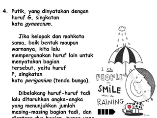 4. Putik, yang dinyatakan dengan
huruf G, singkatan
kata gynaecium.
Jika kelopak dan mahkota
sama, baik bentuk maupun
warnanya, kita lalu
mempergunakan huruf lain untuk
menyatakan bagian
tersebut, yaitu huruf
P, singkatan
kata perigonium (tenda bunga).
Dibelakang huruf-huruf tadi
lalu ditaruhkan angka-angka
yang menunjukkan jumlah
masing-masing bagian tadi, dan

 