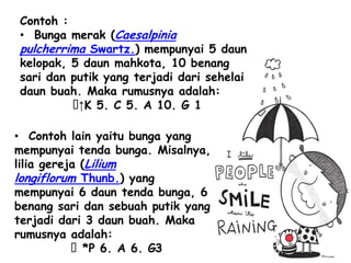 Contoh :
• Bunga merak (Caesalpinia
pulcherrima Swartz.) mempunyai 5 daun
kelopak, 5 daun mahkota, 10 benang
sari dan putik yang terjadi dari sehelai
daun buah. Maka rumusnya adalah:
ᴕ 5. C 5. A 10. G 1
↑K
• Contoh lain yaitu bunga yang
mempunyai tenda bunga. Misalnya,
lilia gereja (Lilium
longiflorum Thunb.) yang
mempunyai 6 daun tenda bunga, 6
benang sari dan sebuah putik yang
terjadi dari 3 daun buah. Maka
rumusnya adalah:
ᴕ*P 6. A 6. G3

 