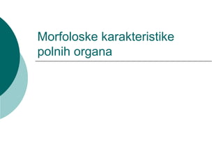 Morfoloske karakteristike
polnih organa
 