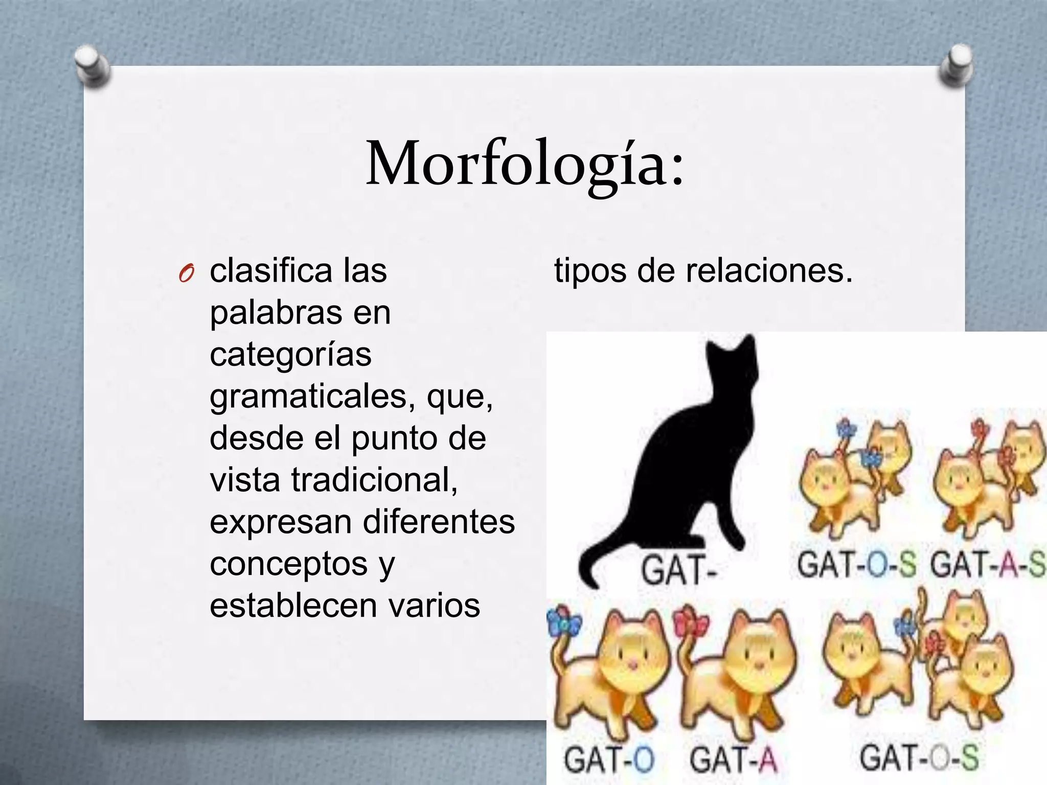 Morfología:
O clasifica las
palabras en
categorías
gramaticales, que,
desde el punto de
vista tradicional,
expresan diferentes
conceptos y
establecen varios
tipos de relaciones.
 