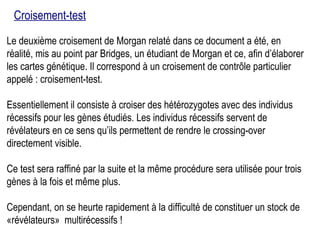 Le deuxième croisement de Morgan relaté dans ce document a été, en réalité, mis au point par Bridges, un étudiant de Morgan et ce, afin d’élaborer les cartes génétique. Il correspond à un croisement de contrôle particulier appelé : croisement-test.  Essentiellement il consiste à croiser des hétérozygotes avec des individus récessifs pour les gènes étudiés. Les individus récessifs servent de révélateurs en ce sens qu’ils permettent de rendre le crossing-over directement visible. Ce test sera raffiné par la suite et la même procédure sera utilisée pour trois gènes à la fois et même plus.  Cependant, on se heurte rapidement à la difficulté de constituer un stock de «révélateurs»  multirécessifs ! Croisement-test 