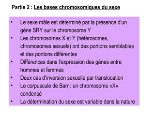Le sexe mâle est déterminé par la présence d'un gène SRY sur le chromosome Y   Les chromosomes X et Y (hétérosomes, chromosomes sexuels) ont des portions semblables et des portions différentes Différences dans l’expression des gènes entre hommes et femmes   Deux cas d’inversion sexuelle par translocation Le corpuscule de Barr : un chromosome «X» condensé La détermination du sexe est variable dans la nature  Partie 2 :  Les bases chromosomiques du sexe 