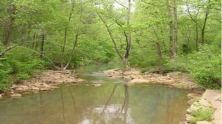 Forests and Source Water Protection | Dr. Bob Morgan