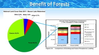 Benefit of Forests
 
