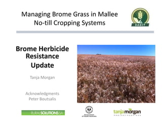 Managing Brome Grass in Mallee
No-till Cropping Systems
Brome Herbicide
Resistance
Update
Tanja Morgan
Acknowledgments
Peter Boutsalis
 