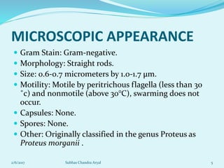 Motile Rods About Morganella species | PDF
