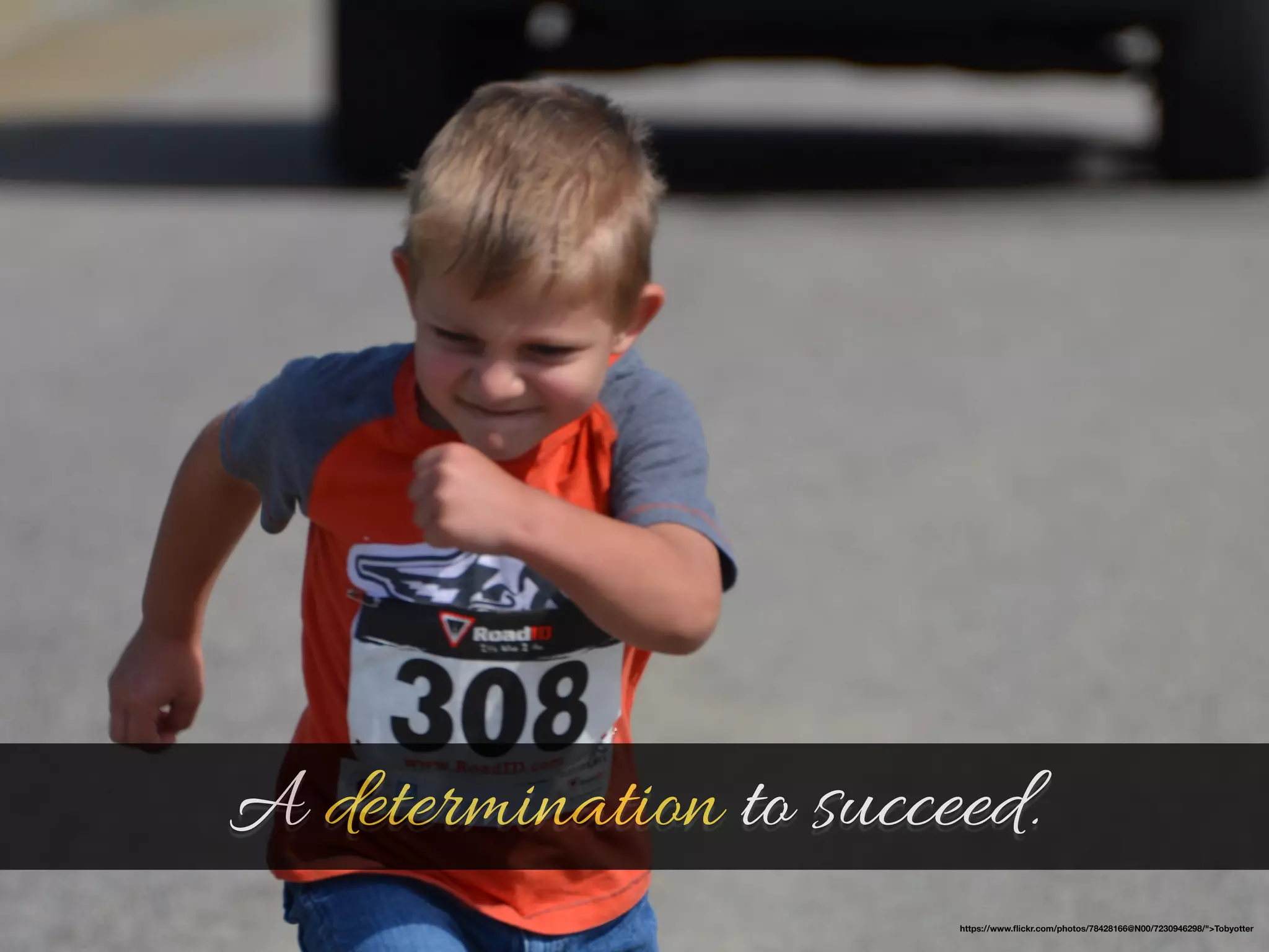 A determination to succeed. 
https://www.flickr.com/photos/78428166@N00/7230946298/">Tobyotter 
 