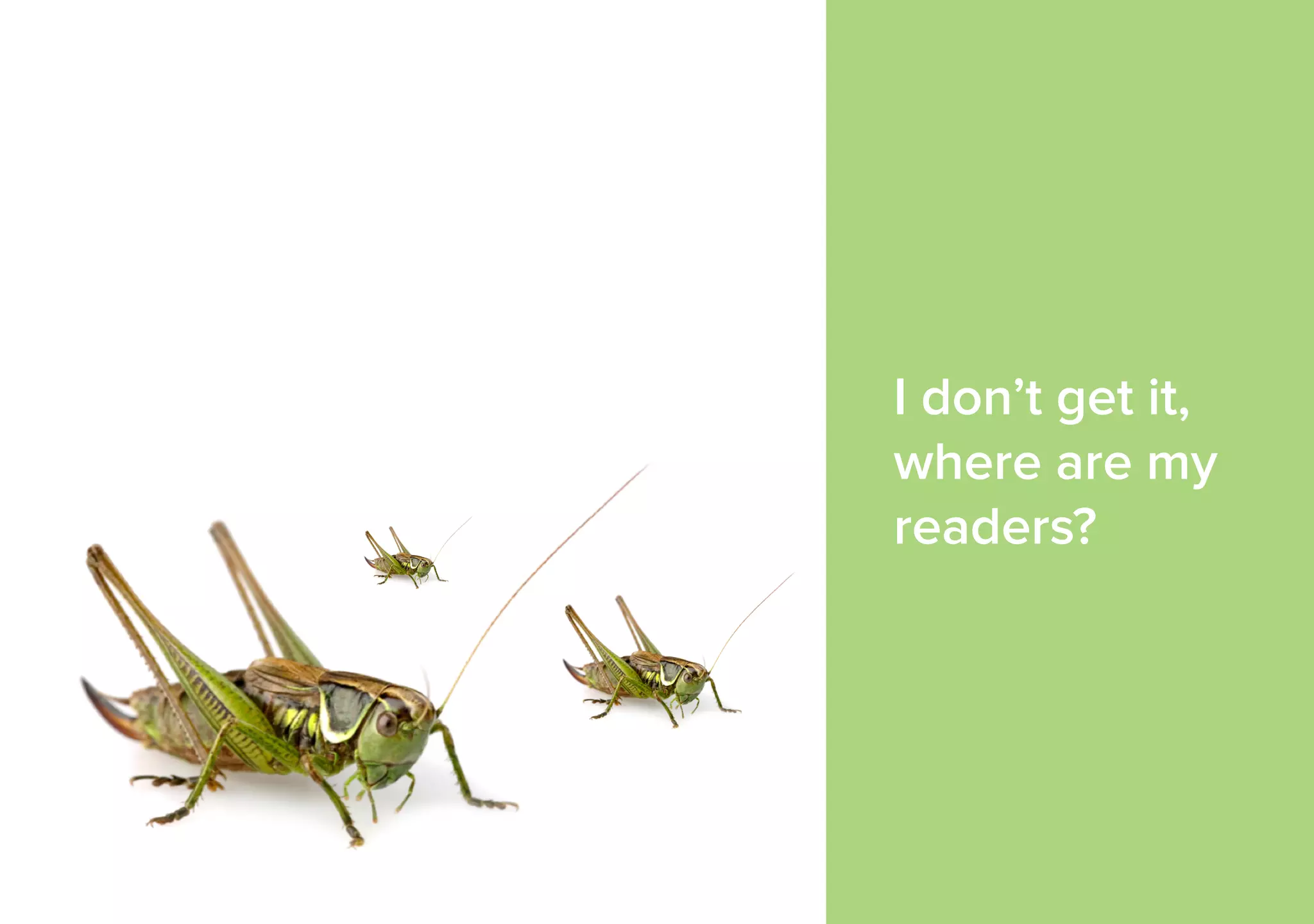 I don’t get it, 
where are my 
readers? 
 