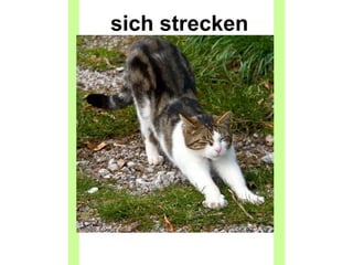 sich strecken