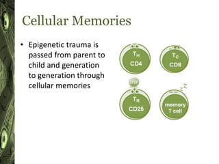 Māori experiences of historical intergenerational trauma | PPT