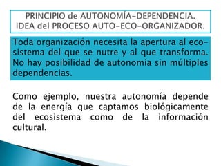 de causalidad lineal, la relación causa-efecto como explicación lógica y la fiabilidad absoluta de esa lógica para establecer la verdad de las teorías.